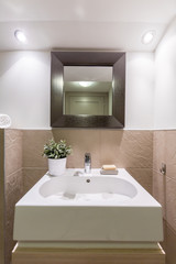 Fototapeta na wymiar Beauty and functionality in bathroom