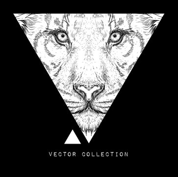 Hand draw tigert. It may be used for design of shirt, bag, postcard and poster. Vector illustration