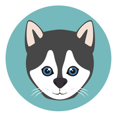 cute dog design 