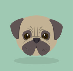 cute dog design 