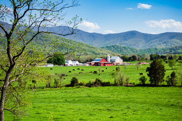 Fototapeta na wymiar Farmland in Rural America