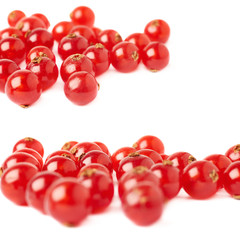 Red Currant isolated over white background