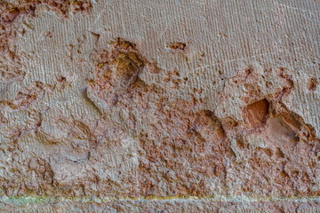 Feuchte Sandsteinwand