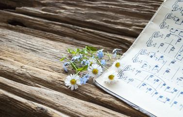 Altes handgeschriebenes Notenblatt mit Gänseblümchen (Bellis perennis) und Vergissmeinnicht (Myosotis) auf Treibholz / Holz Hintergrund 