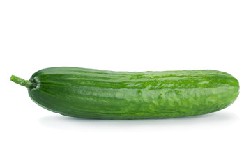 Long cucumber on white