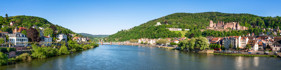 Fototapeta na wymiar Heidelberg Panorama im Sommer