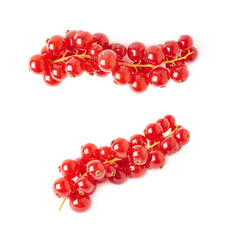 Set of Red Currant isolated over white background