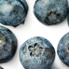 Bilberry or blueberry over white background