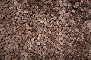 decorative cross section view  cutting wood