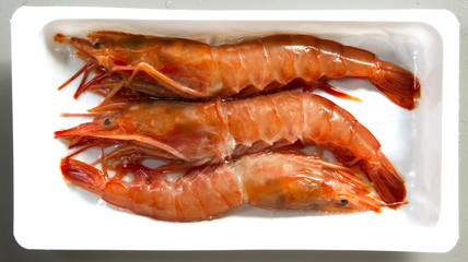 marisco en badejas para su venta