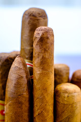 Head of Cuban cigars vertically
