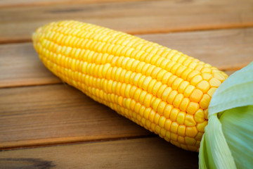 Close up sweet corn on wood table