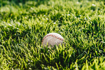 A white used baseball on the fresh green grass with copy space..