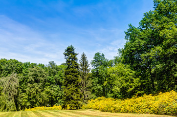 Azaleen- und Rhododendronpark in Kromlau