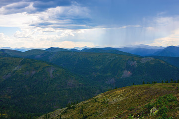 Fototapeta premium beautiful view of green hills