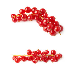 Set of Red Currant isolated over white background
