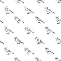 pattern sparrow