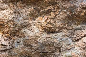 Texture of the timber.  Selective Focus.