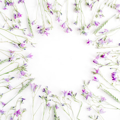 frame with bluebell flowers isolated on white background. flat lay, overhead view