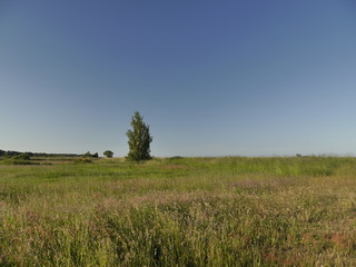 Obraz premium Rezerwat Beka