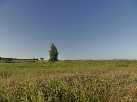 Rezerwat Beka