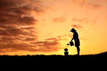 Fototapeta premium Silhouette women watering a tree at sky sunset. Concept saves the world