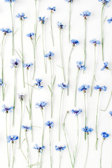 cornflowers on white background. Flat lay, top view