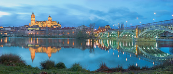 Salamanca - The Cathedral and bridge Puente Enrique Estevan Avda and the Rio Tormes river at dusk - obrazy, fototapety, plakaty