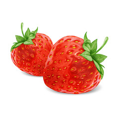 Hand-drawn illustration of Strawberries. Digitally colored.