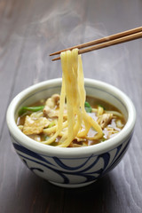 curry udon, japanese noodles soup dish