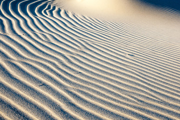beautiful view of the coastal dunes