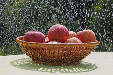 The group of red apples in the water stream standing in the basket outdoors