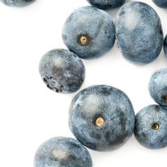 Bilberry or blueberry over white background