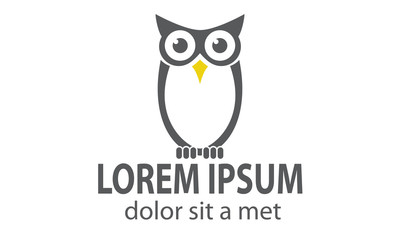 Owl Logo Design