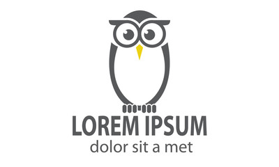 Owl Logo Design