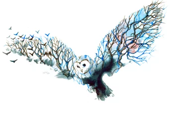 Printed kitchen splashbacks Paintings owl