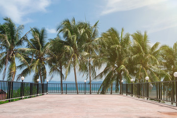 Fototapeta na wymiar concrete platform surrounded by a fence and palm trees