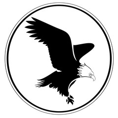 Artistic eagle