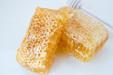 Flower honey in honeycombs

