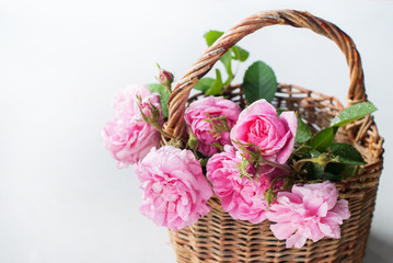 Fototapeta na wymiar Basket Pink Dog Rose Canina Flower Bouquet Present