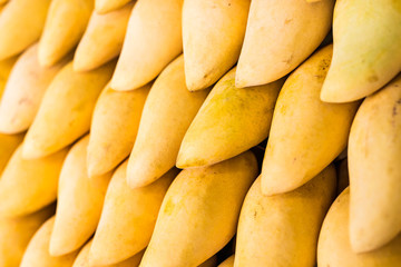 Fresh yellow mango