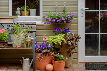 Beautifully decorated porch of a private house, colorful flowers in large clay pots, vintage bench, vintage inventory.