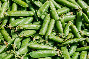 Vegetable Organic Green Beans Background