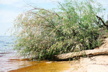 Water pollution. The concept of environment conservation.