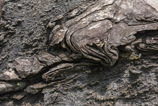 Texture of Calc-silicate rock (Metamorphic rock). Selective Focu