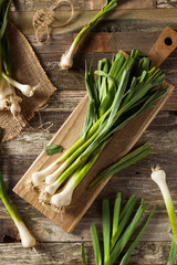 Raw Organic Spring Garlic © Brent Hofacker