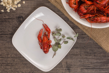 one crawfish on the wooden surface with glass of beer