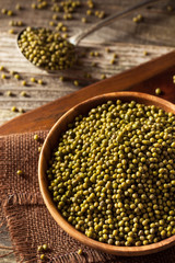 Raw Organic Green Mung Beans
