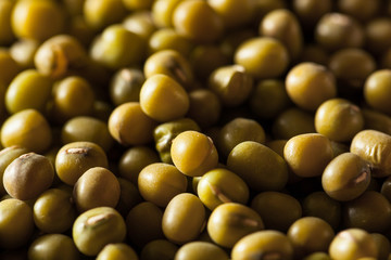 Raw Organic Green Mung Beans