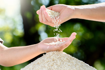 Jasmine rice in mother and child hands.